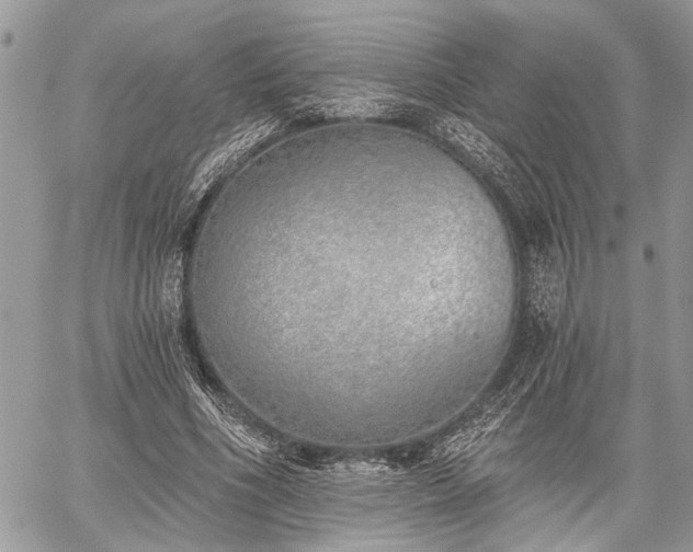 X0000059820586200510241358