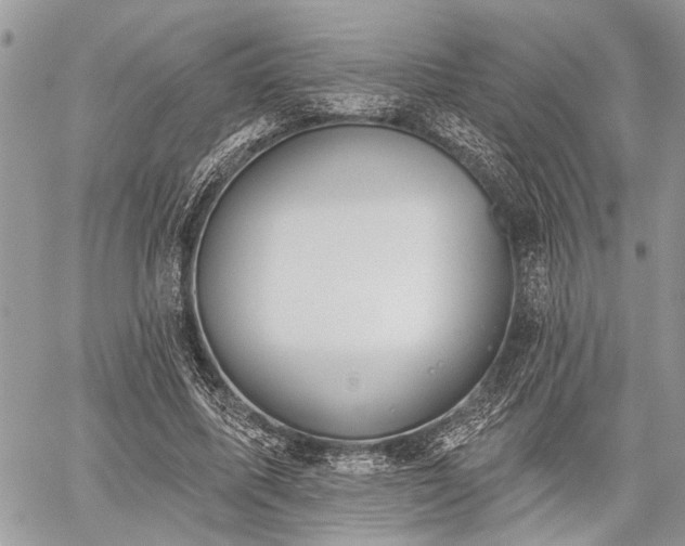 X0000059820587200510241358