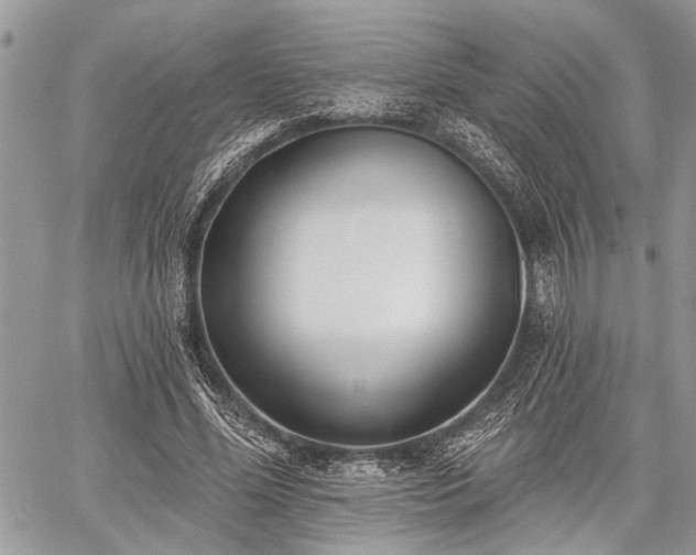 X0000059820588200510241358