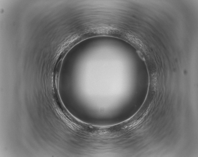 X0000059820589200510241357