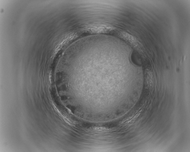 X0000059820590200510241357