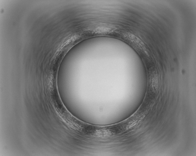 X0000059820591200510241357