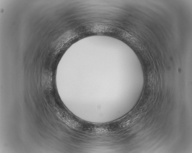 X0000059820592200510241357