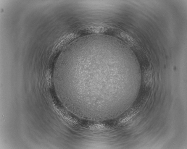 X0000059820594200510241357