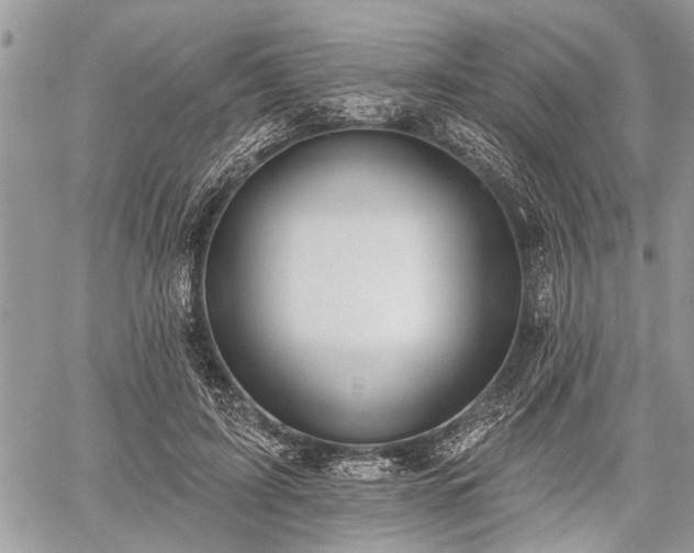 X0000059820595200510241357