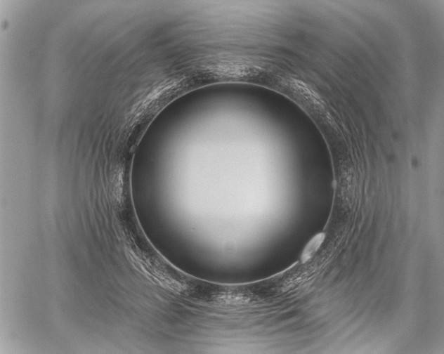 X0000059820596200510241357