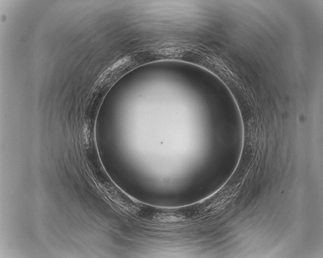 X0000059820597200510241357