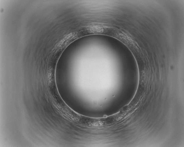 X0000059820600200510241357