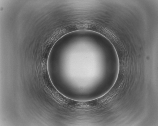 X0000059820601200510241357