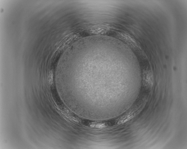 X0000059820602200510241357