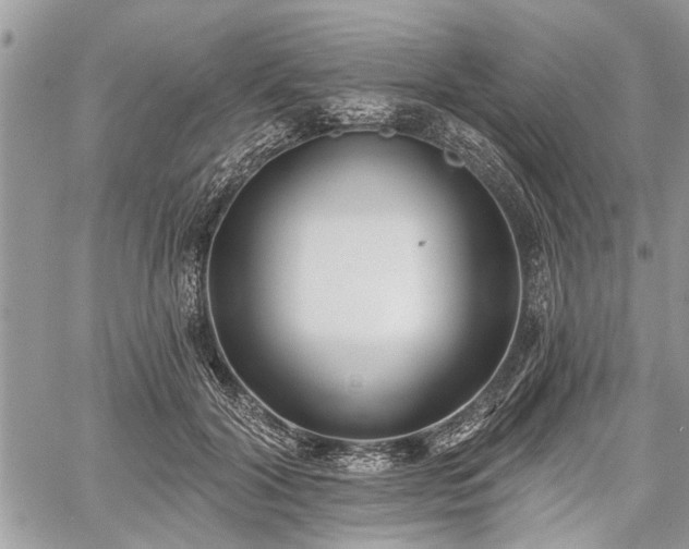 X0000059820604200510241357