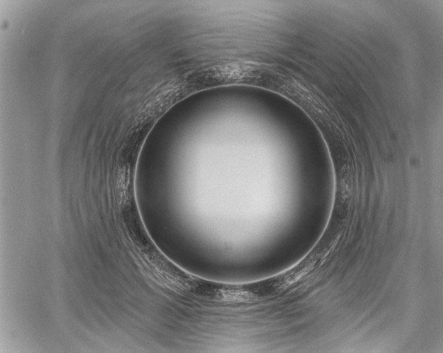 X0000059820605200510241357