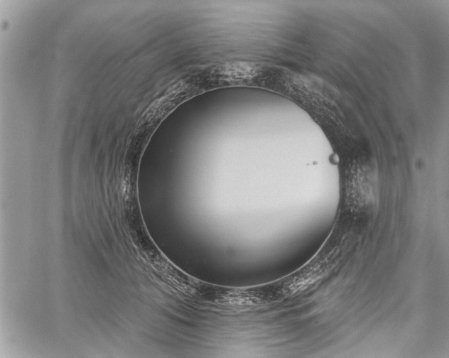 X0000059820608200510241357