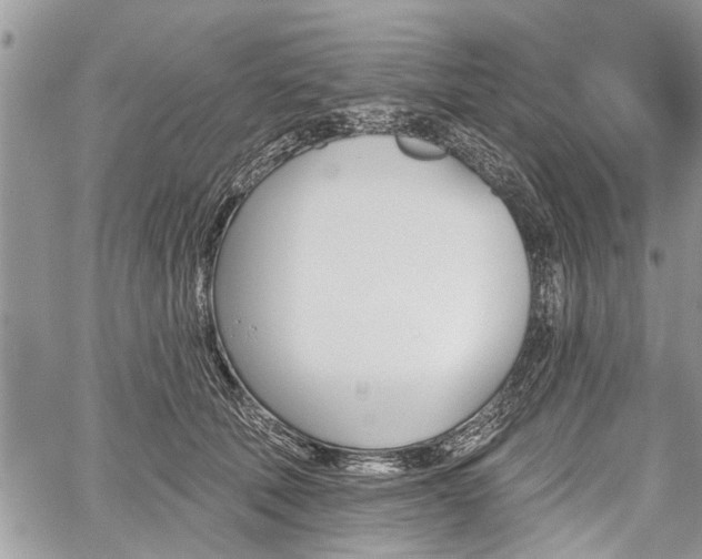 X0000059820610200510241357