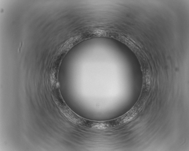 X0000059820611200510241357