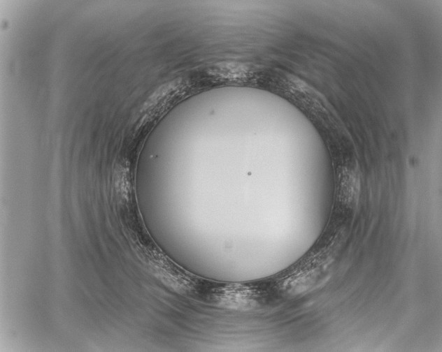 X0000059820612200510241357