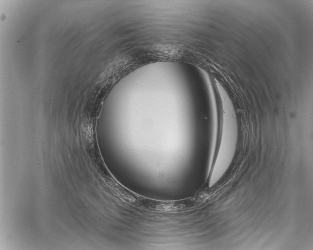 X0000059820613200510241357