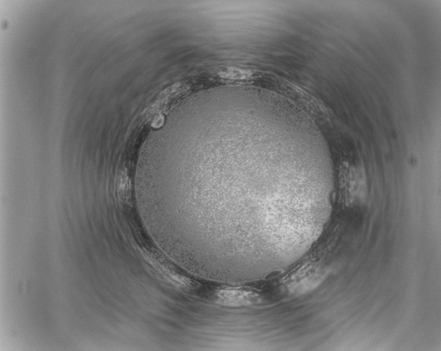 X0000059820614200510241357