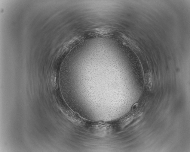 X0000059820615200510241357