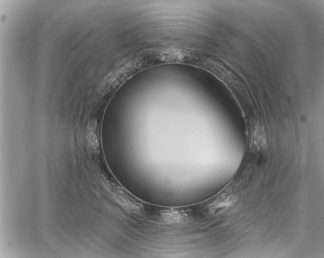 X0000059820616200510241357