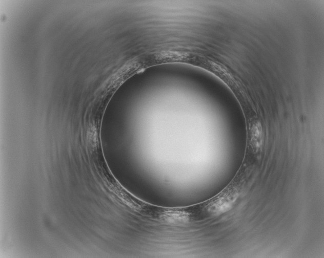 X0000059820617200510241357