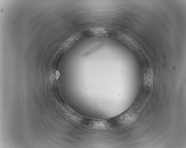 X0000059820618200510241357