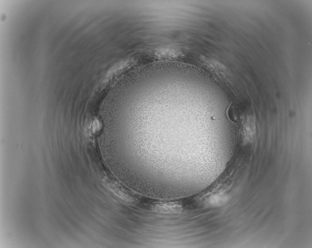 X0000059820619200510241357