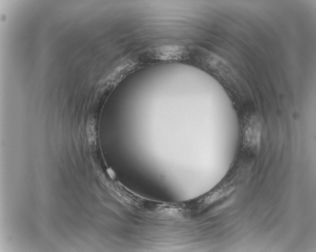 X0000059820620200510241357