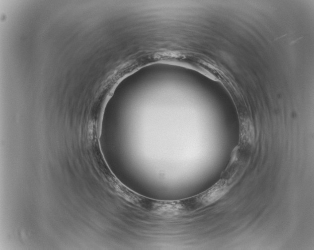 X0000059820621200510241357