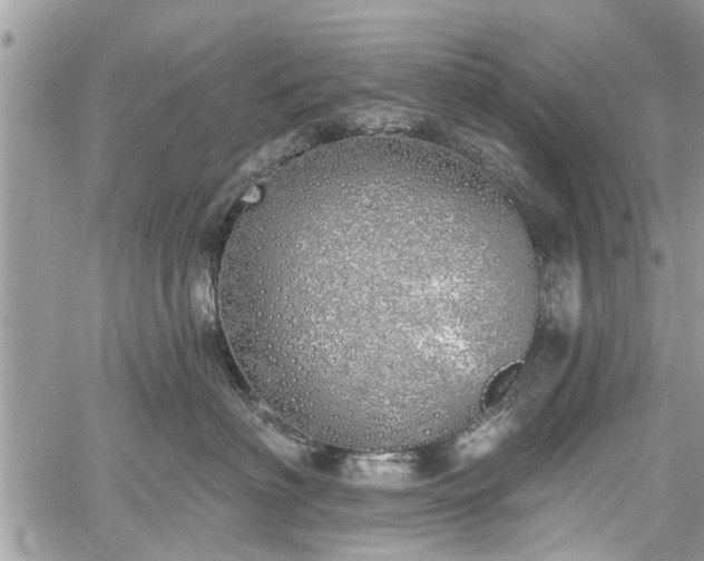 X0000059820622200510241357