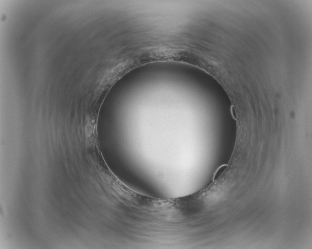 X0000059820624200510241357