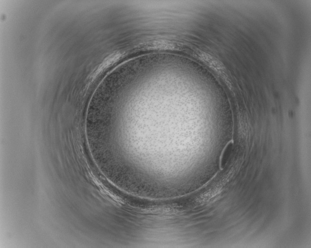 X0000059820625200510241356