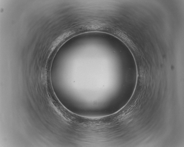 X0000059820626200510241356