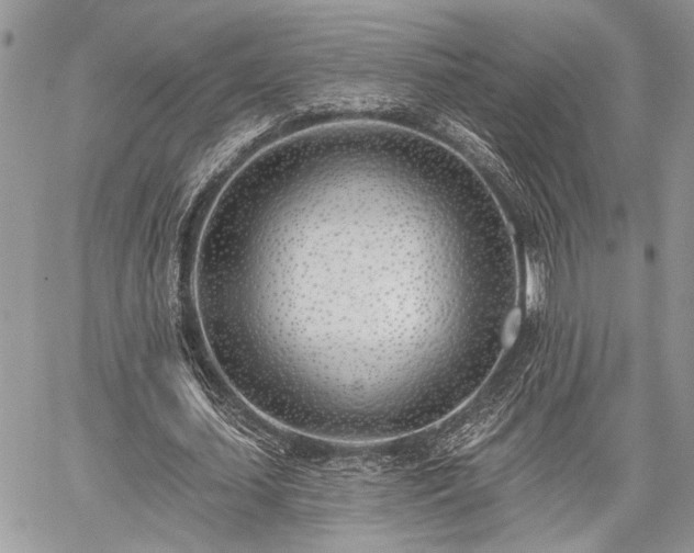 X0000059820627200510241356