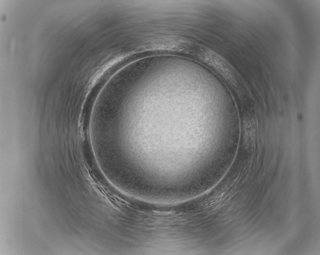 X0000059820628200510241356