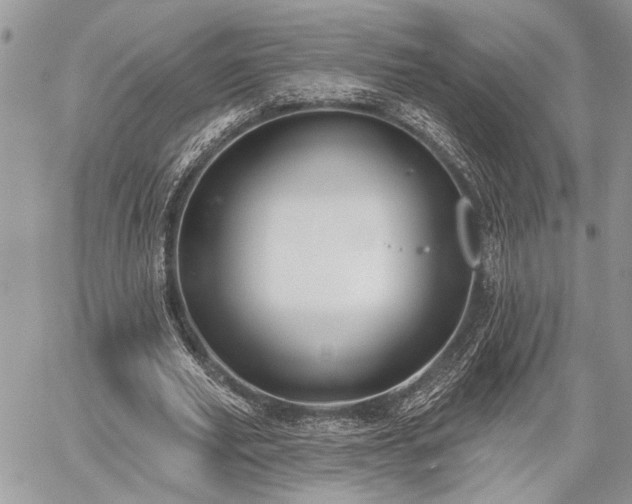 X0000059820629200510241356