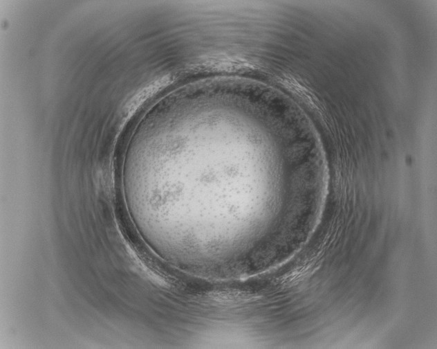 X0000059820630200510241356