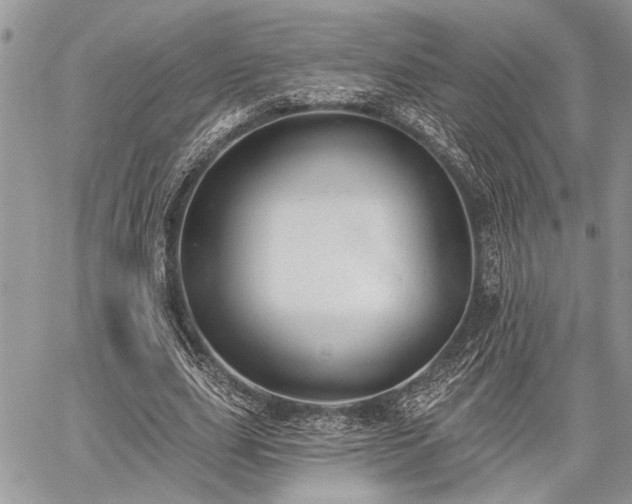 X0000059820631200510241356