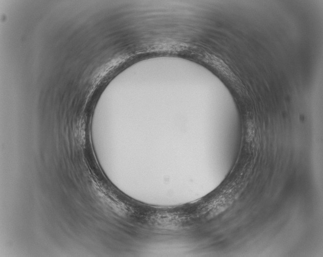 X0000059820632200510241356