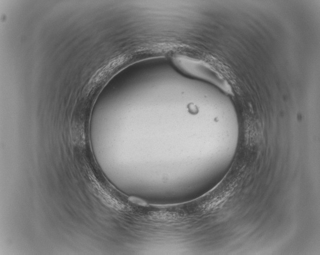 X0000059820633200510241356