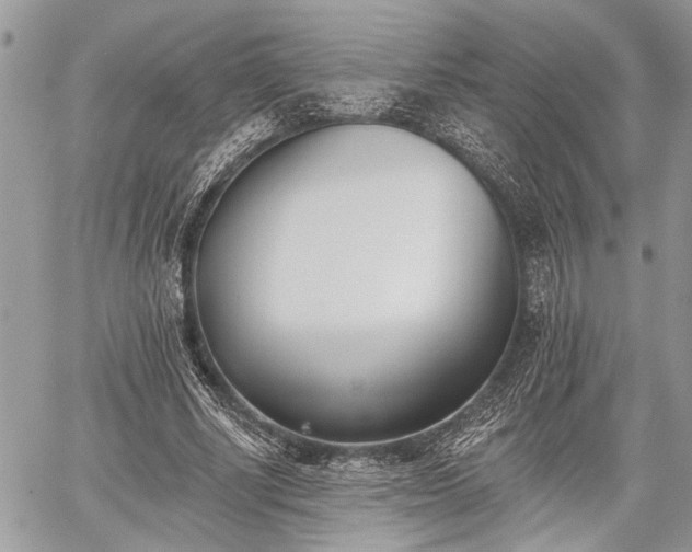 X0000059820634200510241356