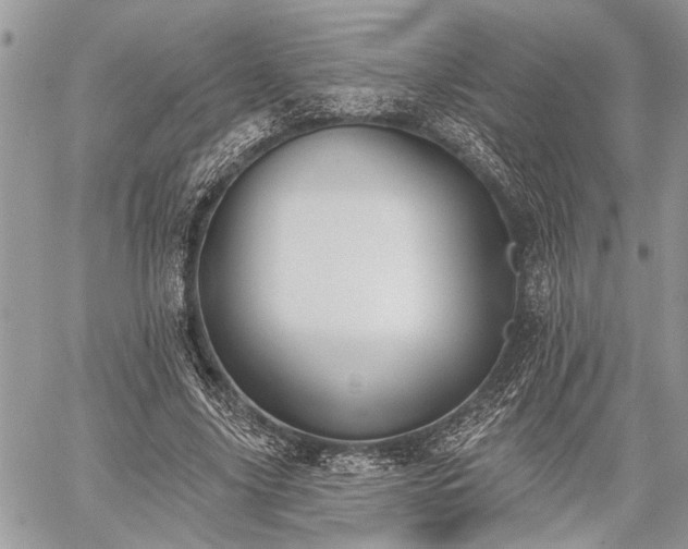 X0000059820635200510241356