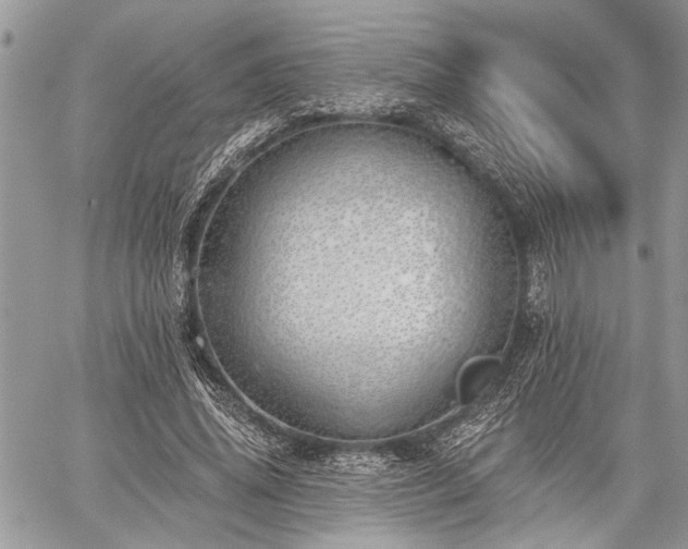 X0000059820636200510241356