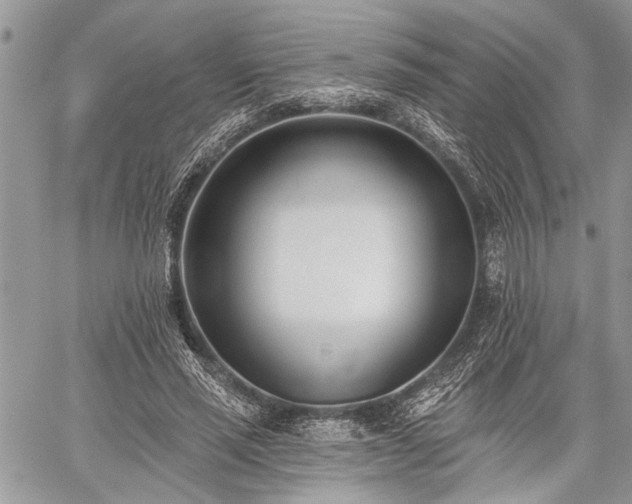 X0000059820637200510241356