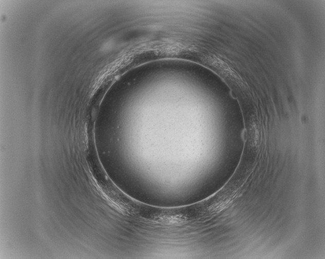 X0000059820638200510241356