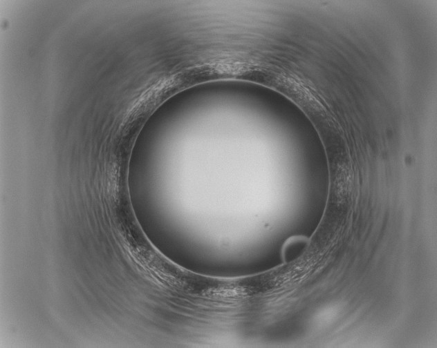 X0000059820639200510241356