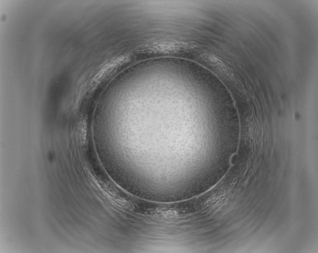 X0000059820640200510241356