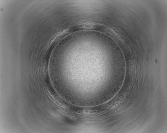 X0000059820641200510241356