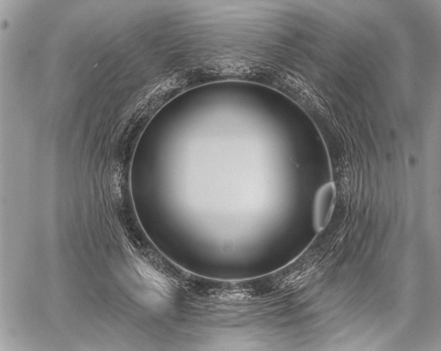 X0000059820643200510241356