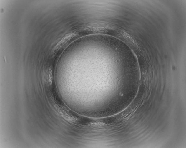 X0000059820644200510241356